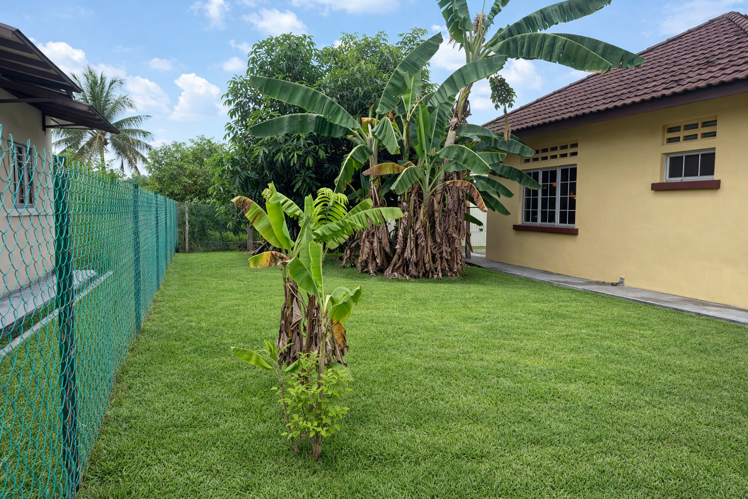 Spacious Back Lawn